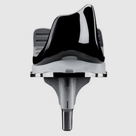 Smithandnephew Journey II TKR Front