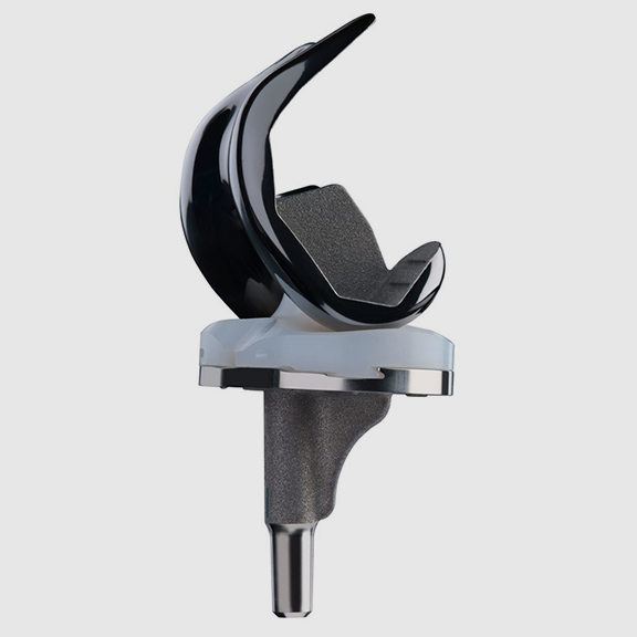 Smithandnephew Journey II TKR