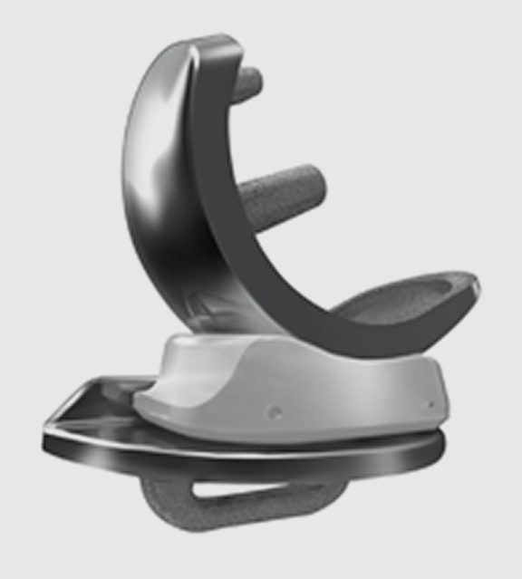 Oxford Medial Partial Knee